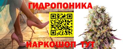 шишки Ликино-Дулёво