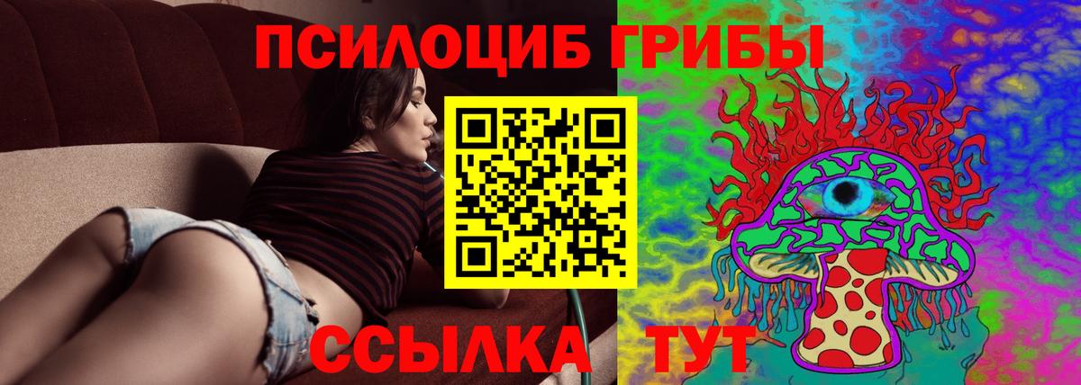 Псилоцибиновые грибы GOLDEN TEACHER Горячий Ключ